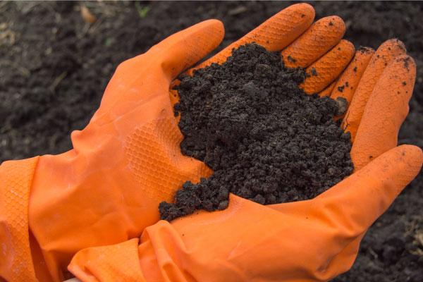 Activated Carbon for Soil Remediation.