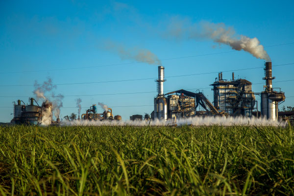 Activated Carbon for Sweeteners.